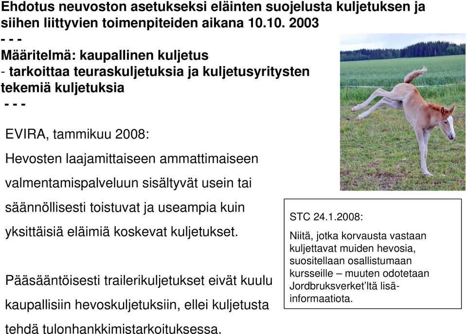 ammattimaiseen valmentamispalveluun sisältyvät usein tai säännöllisesti toistuvat ja useampia kuin yksittäisiä eläimiä koskevat kuljetukset.