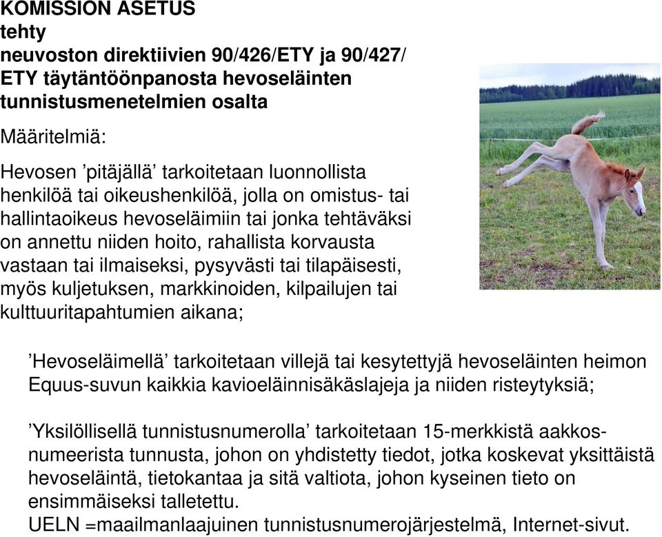 kuljetuksen, markkinoiden, kilpailujen tai kulttuuritapahtumien aikana; Hevoseläimellä tarkoitetaan villejä tai kesytettyjä hevoseläinten heimon Equus-suvun kaikkia kavioeläinnisäkäslajeja ja niiden