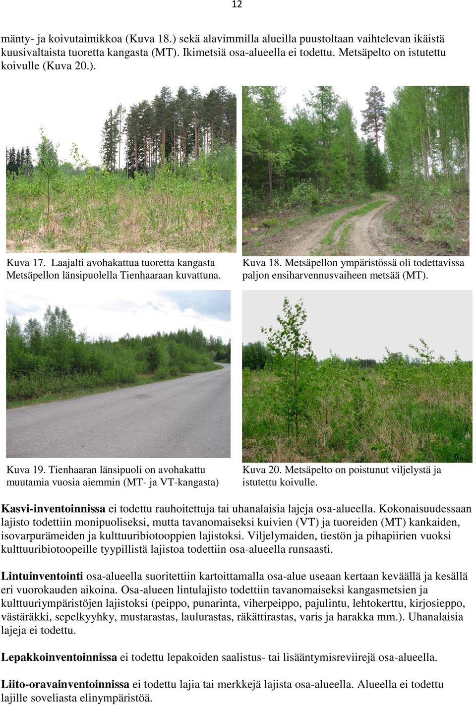 Metsäpellon ympäristössä oli todettavissa paljon ensiharvennusvaiheen metsää (MT). Kuva 19. Tienhaaran länsipuoli on avohakattu muutamia vuosia aiemmin (MT- ja VT-kangasta) Kuva 20.