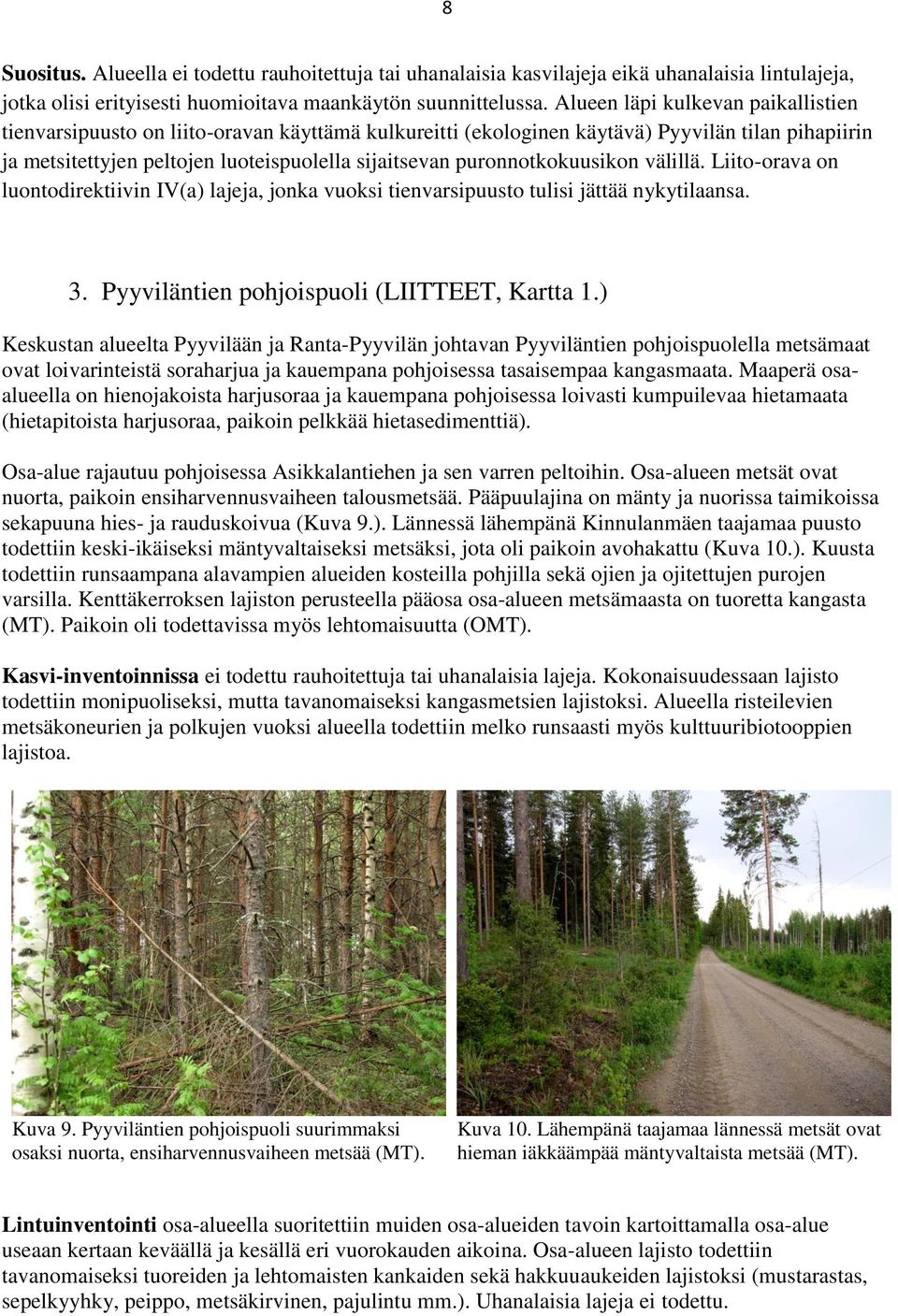 puronnotkokuusikon välillä. Liito-orava on luontodirektiivin IV(a) lajeja, jonka vuoksi tienvarsipuusto tulisi jättää nykytilaansa. 3. Pyyviläntien pohjoispuoli (LIITTEET, Kartta 1.