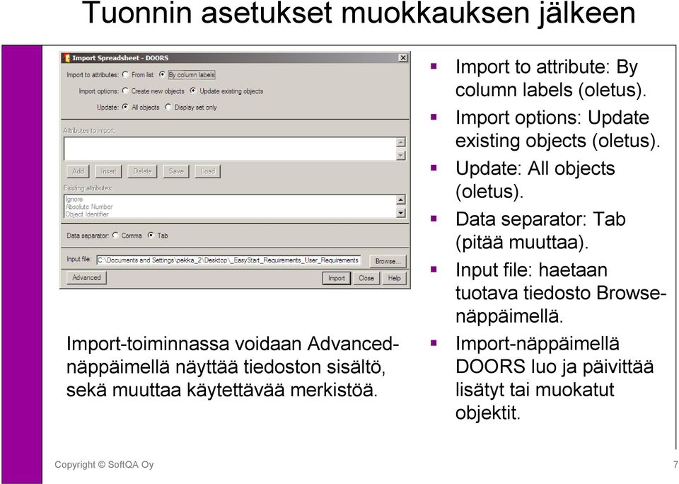 Import options: Update existing objects (oletus). Update: All objects (oletus).