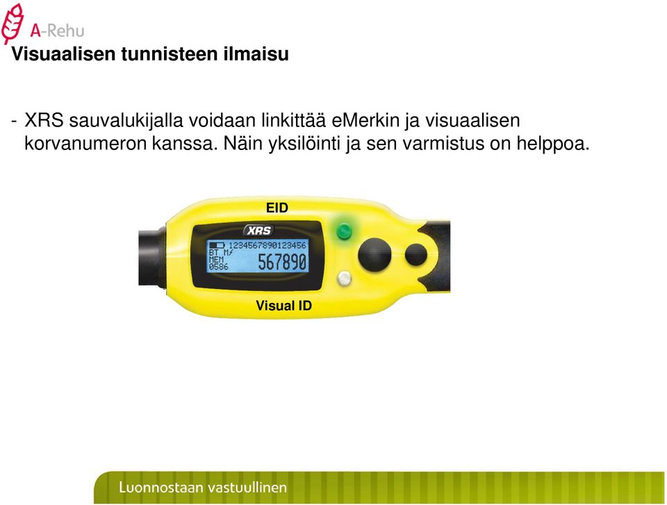 ja visuaalisen korvanumeron kanssa.