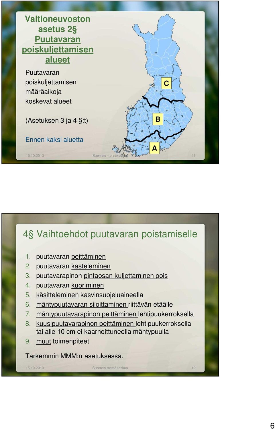 puutavaran kuoriminen 5. käsitteleminen kasvinsuojeluaineella 6. mäntypuutavaran sijoittaminen riittävän etäälle 7. mäntypuutavarapinon peittäminen lehtipuukerroksella 8.