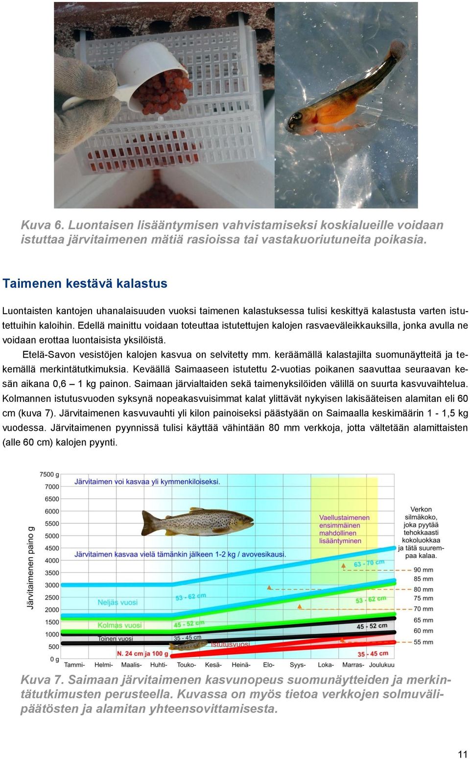 Edellä mainittu voidaan toteuttaa istutettujen kalojen rasvaeväleikkauksilla, jonka avulla ne voidaan erottaa luontaisista yksilöistä. Etelä-Savon vesistöjen kalojen kasvua on selvitetty mm.