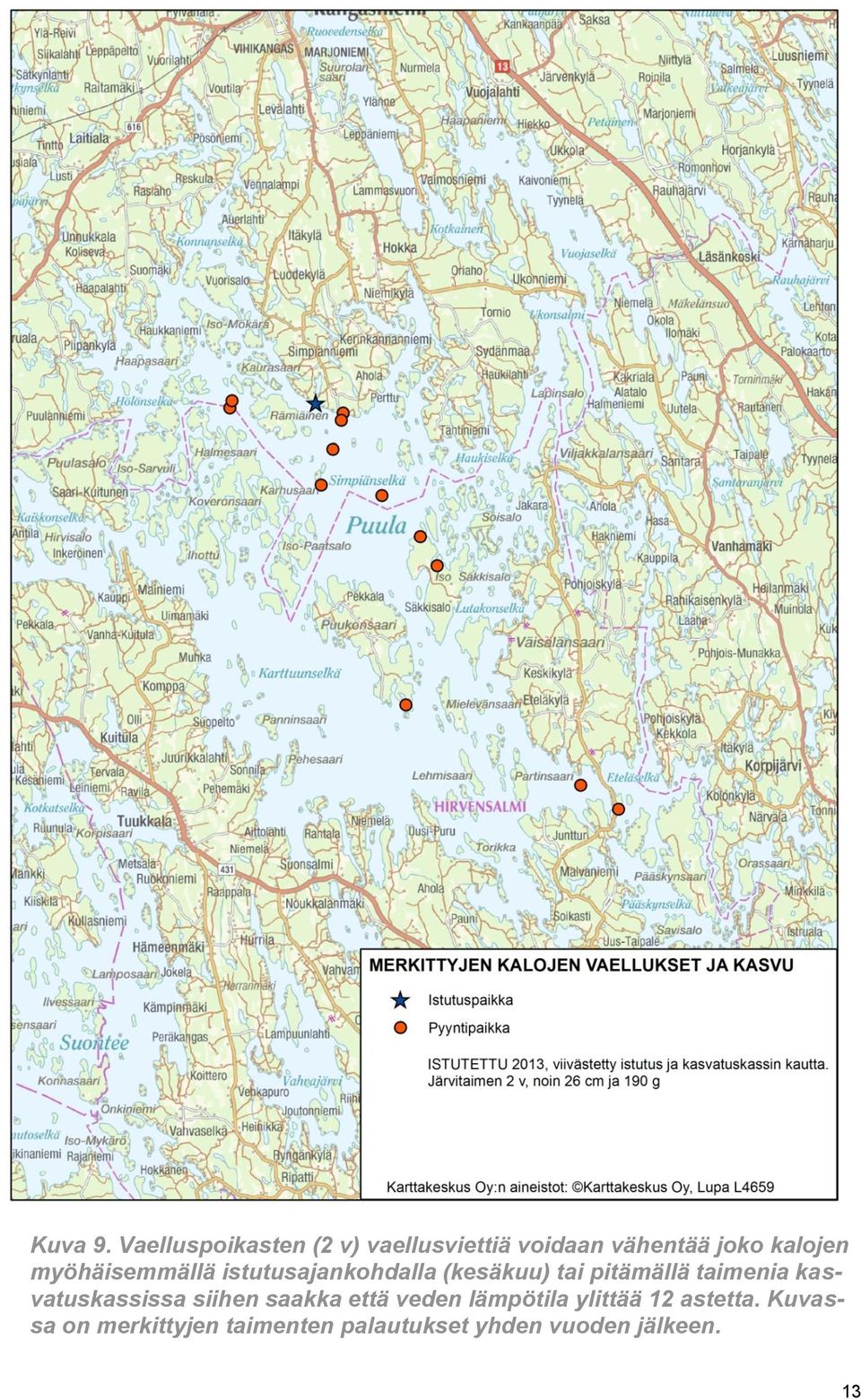 myöhäisemmällä istutusajankohdalla (kesäkuu) tai pitämällä taimenia