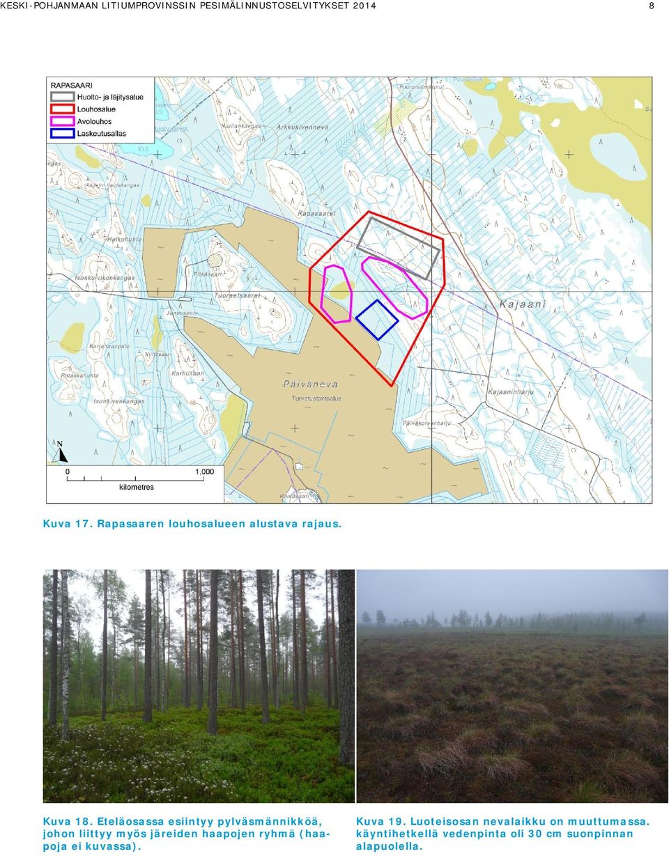 Eteläosassa esiintyy pylväsmännikköä, johon liittyy myös järeiden haapojen ryhmä