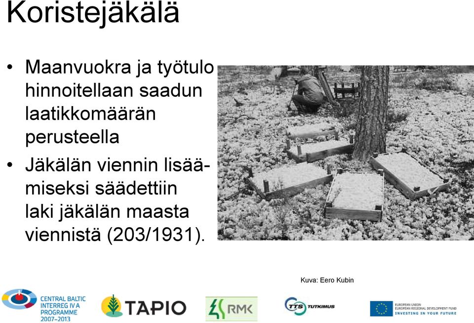 perusteella Jäkälän viennin lisäämiseksi