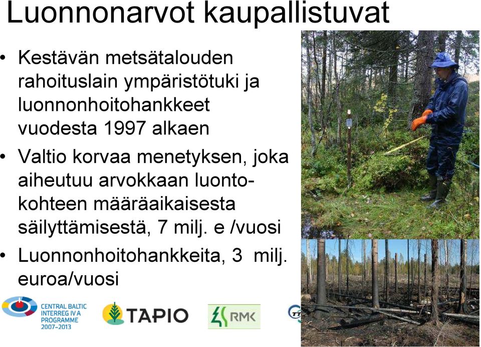 korvaa menetyksen, joka aiheutuu arvokkaan luontokohteen