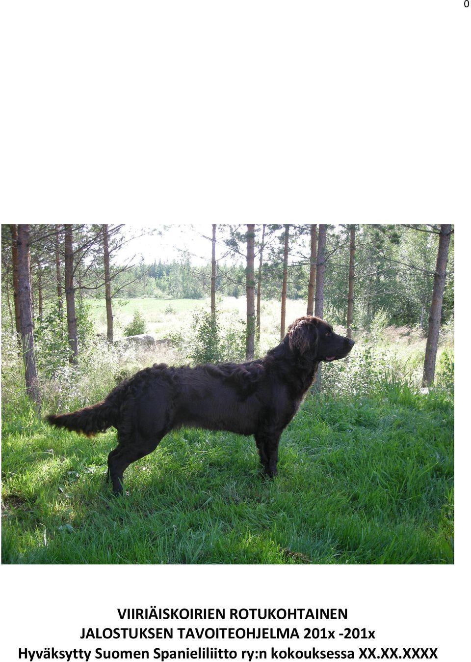 -201x Hyväksytty Suomen