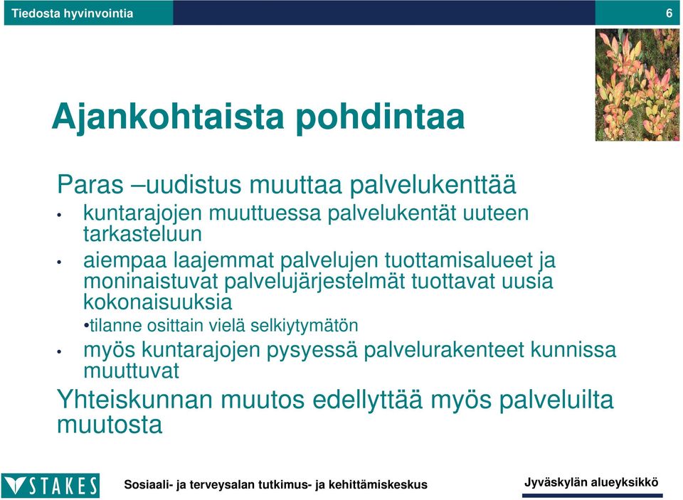 moninaistuvat palvelujärjestelmät tuottavat uusia kokonaisuuksia tilanne osittain vielä selkiytymätön