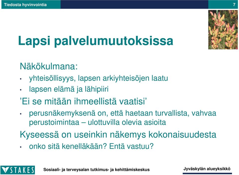 perusnäkemyksenä on, että haetaan turvallista, vahvaa perustoimintaa ulottuvilla