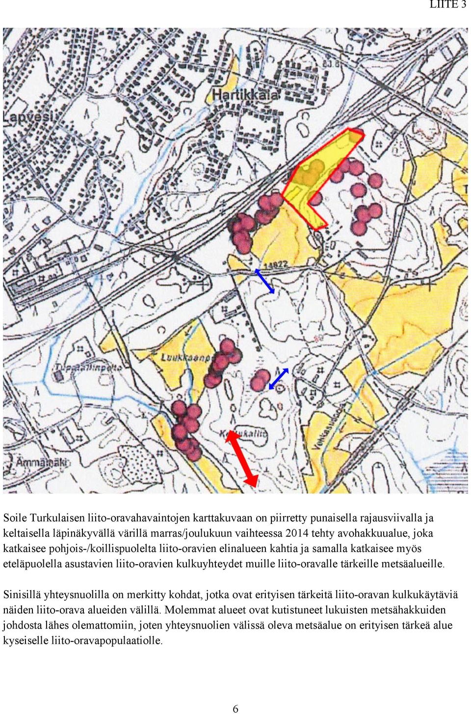 liito-oravalle tärkeille metsäalueille. Sinisillä yhteysnuolilla on merkitty kohdat, jotka ovat erityisen tärkeitä liito-oravan kulkukäytäviä näiden liito-orava alueiden välillä.