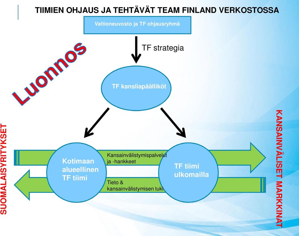 Kotimaan alueellinen TF tiimi Kansainvälistymispalvelut ja -hankkeet