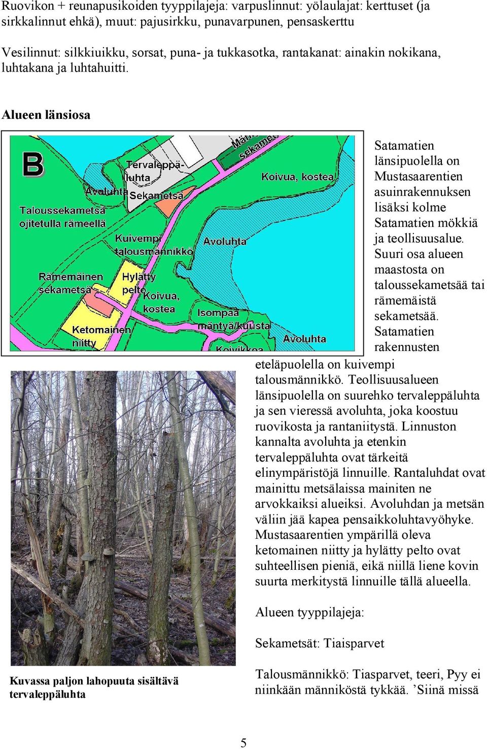 Suuri osa alueen maastosta on taloussekametsää tai rämemäistä sekametsää. Satamatien rakennusten eteläpuolella on kuivempi talousmännikkö.