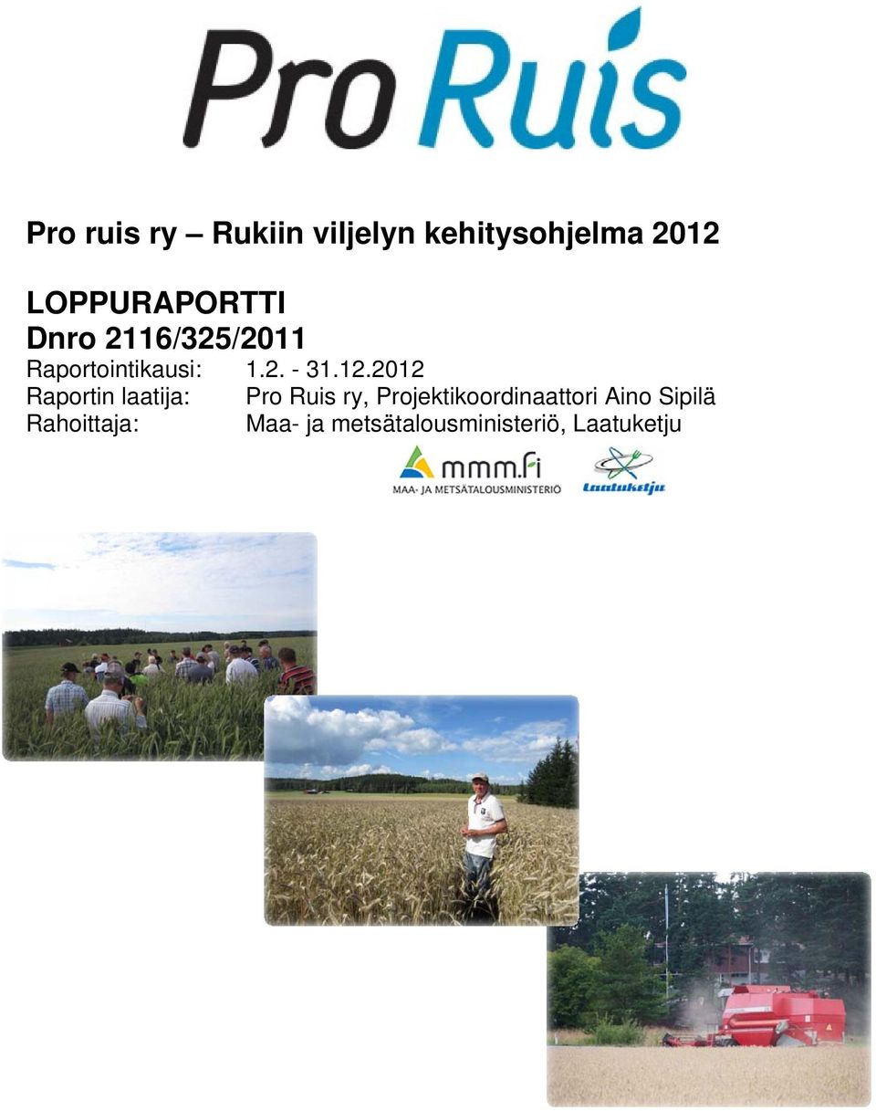 12.2012 Raportin laatija: Pro Ruis ry,