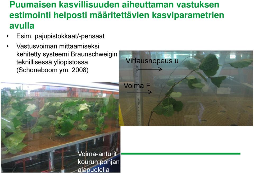 pajupistokkaat/-pensaat Vastusvoiman mittaamiseksi kehitetty systeemi