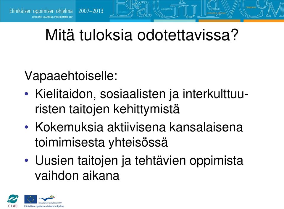 interkulttuuristen taitojen kehittymistä Kokemuksia