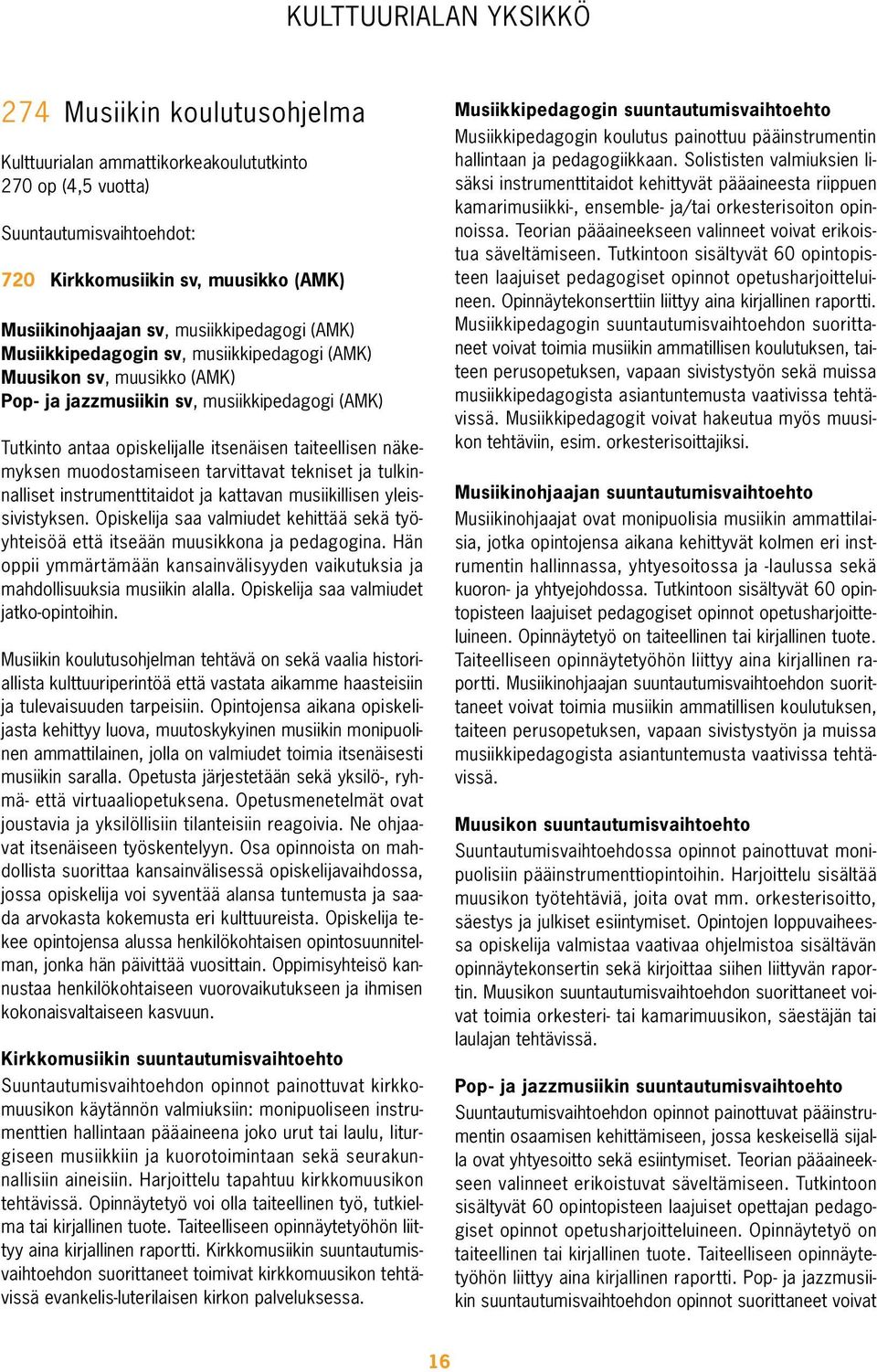 näkemyksen muodostamiseen tarvittavat tekniset ja tulkinnalliset instrumenttitaidot ja kattavan musiikillisen yleissivistyksen.