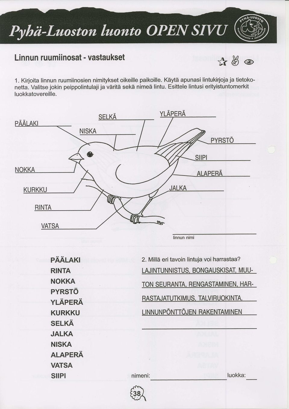 Esittele lintusi erityistuntomerkit luokkatovereille.