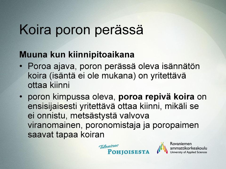 oleva, poroa repivä koira on ensisijaisesti yritettävä ottaa kiinni, mikäli se ei