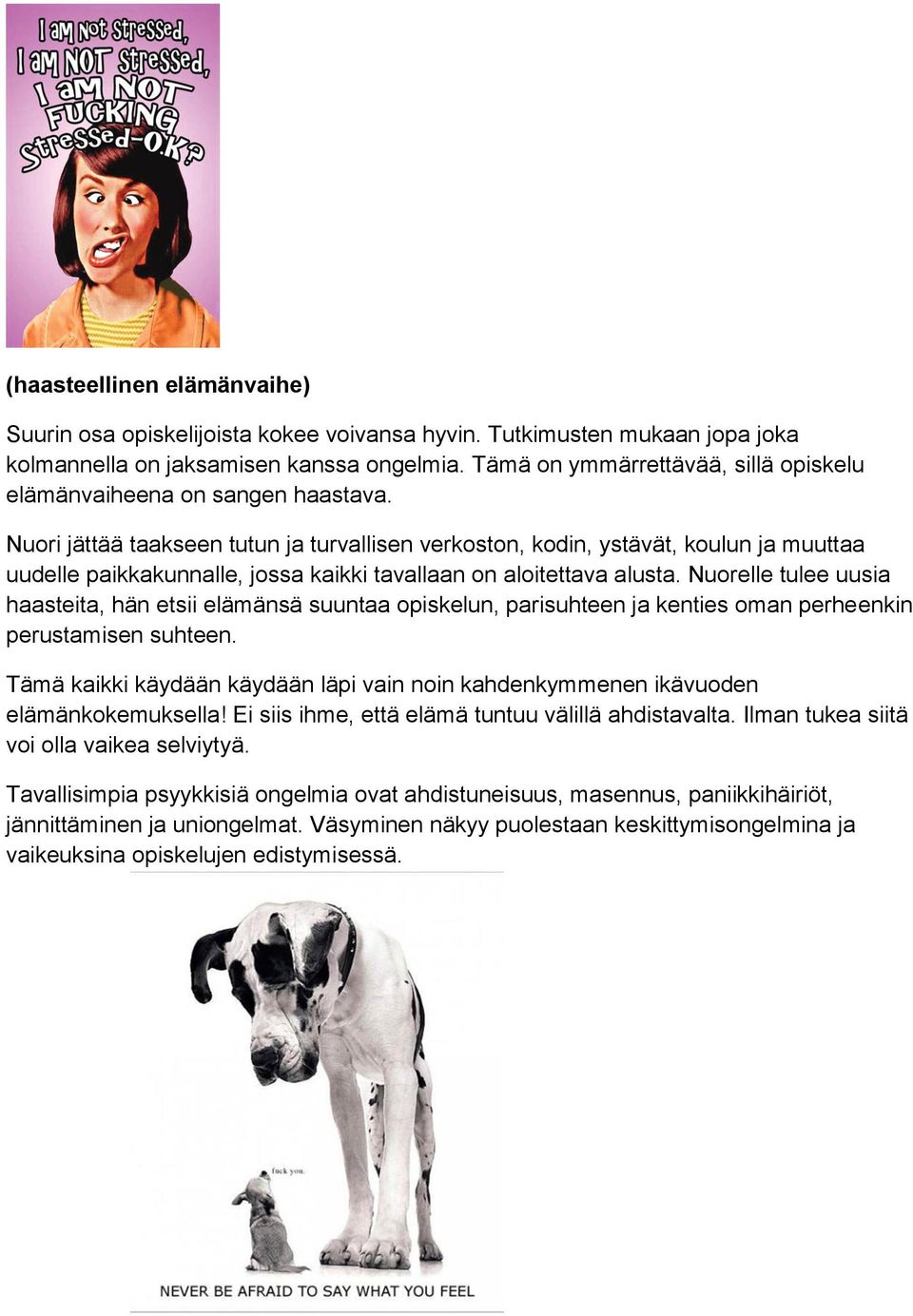 Nuori jättää taakseen tutun ja turvallisen verkoston, kodin, ystävät, koulun ja muuttaa uudelle paikkakunnalle, jossa kaikki tavallaan on aloitettava alusta.