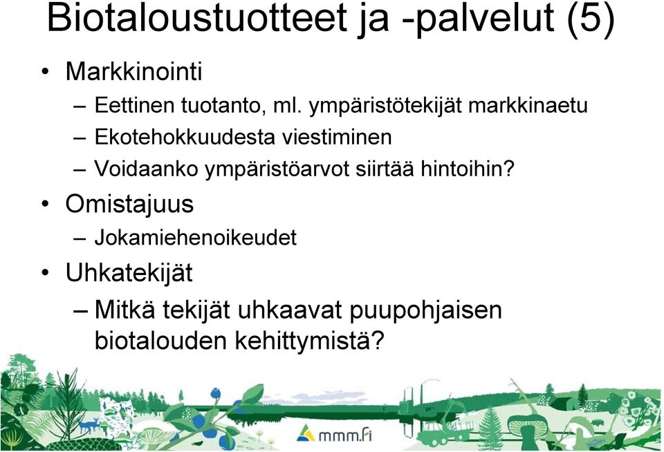 Voidaanko ympäristöarvot siirtää hintoihin?