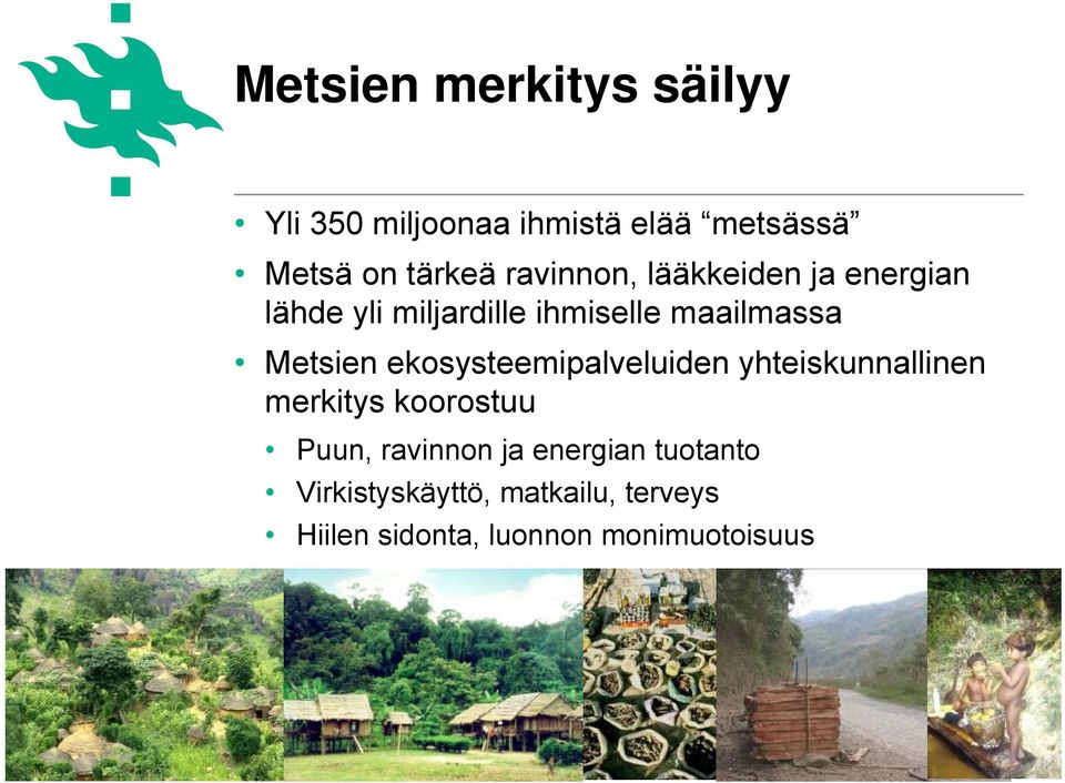 ekosysteemipalveluiden yhteiskunnallinen merkitys koorostuu Puun, ravinnon ja energian