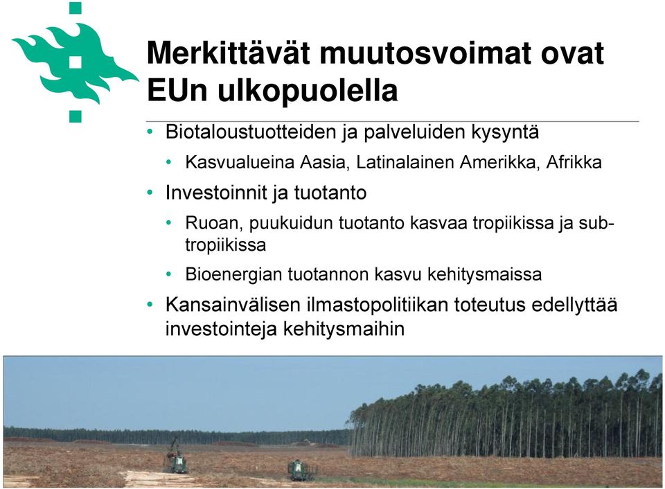 puukuidun tuotanto kasvaa tropiikissa ja subtropiikissa Bioenergian tuotannon kasvu