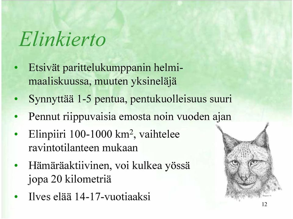 vuoden ajan Elinpiiri 100-1000 km 2, vaihtelee ravintotilanteen mukaan