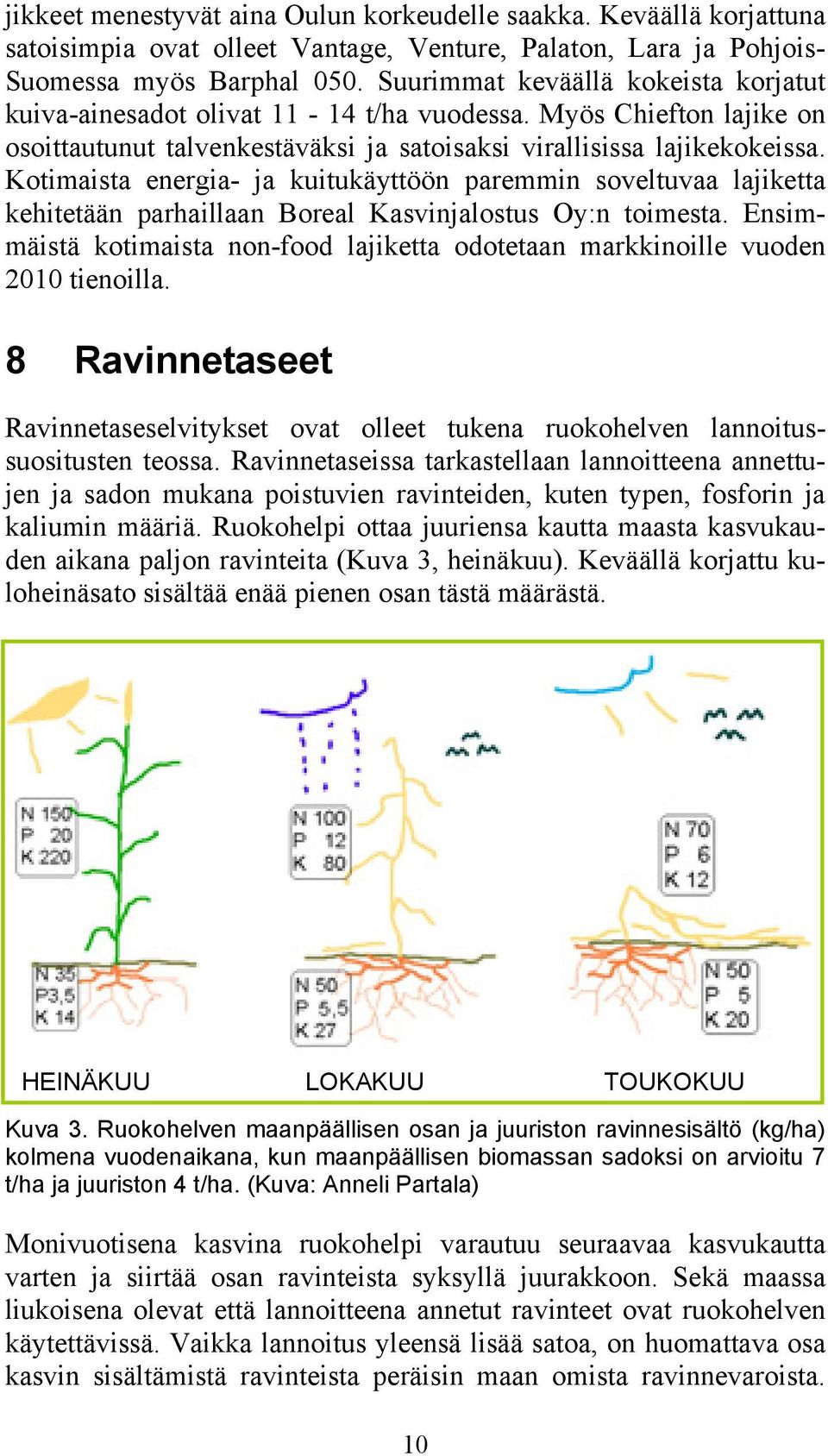 Kotimaista energia- ja kuitukäyttöön paremmin soveltuvaa lajiketta kehitetään parhaillaan Boreal Kasvinjalostus Oy:n toimesta.