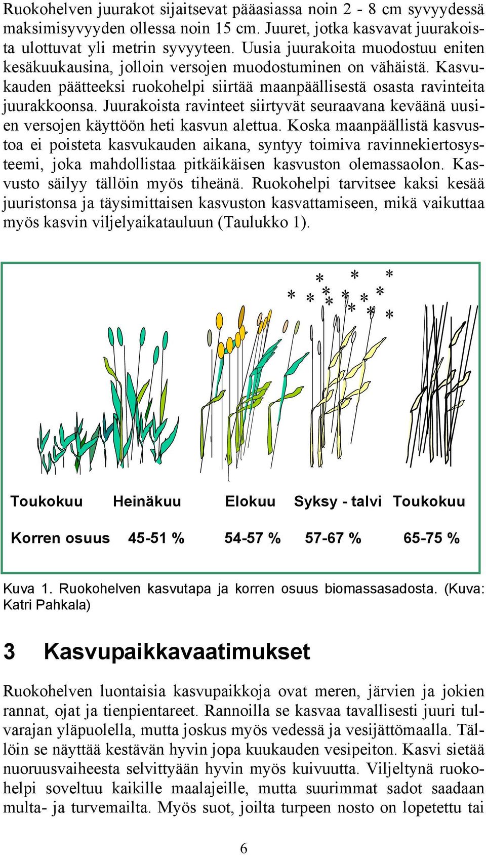 Juurakoista ravinteet siirtyvät seuraavana keväänä uusien versojen käyttöön heti kasvun alettua.
