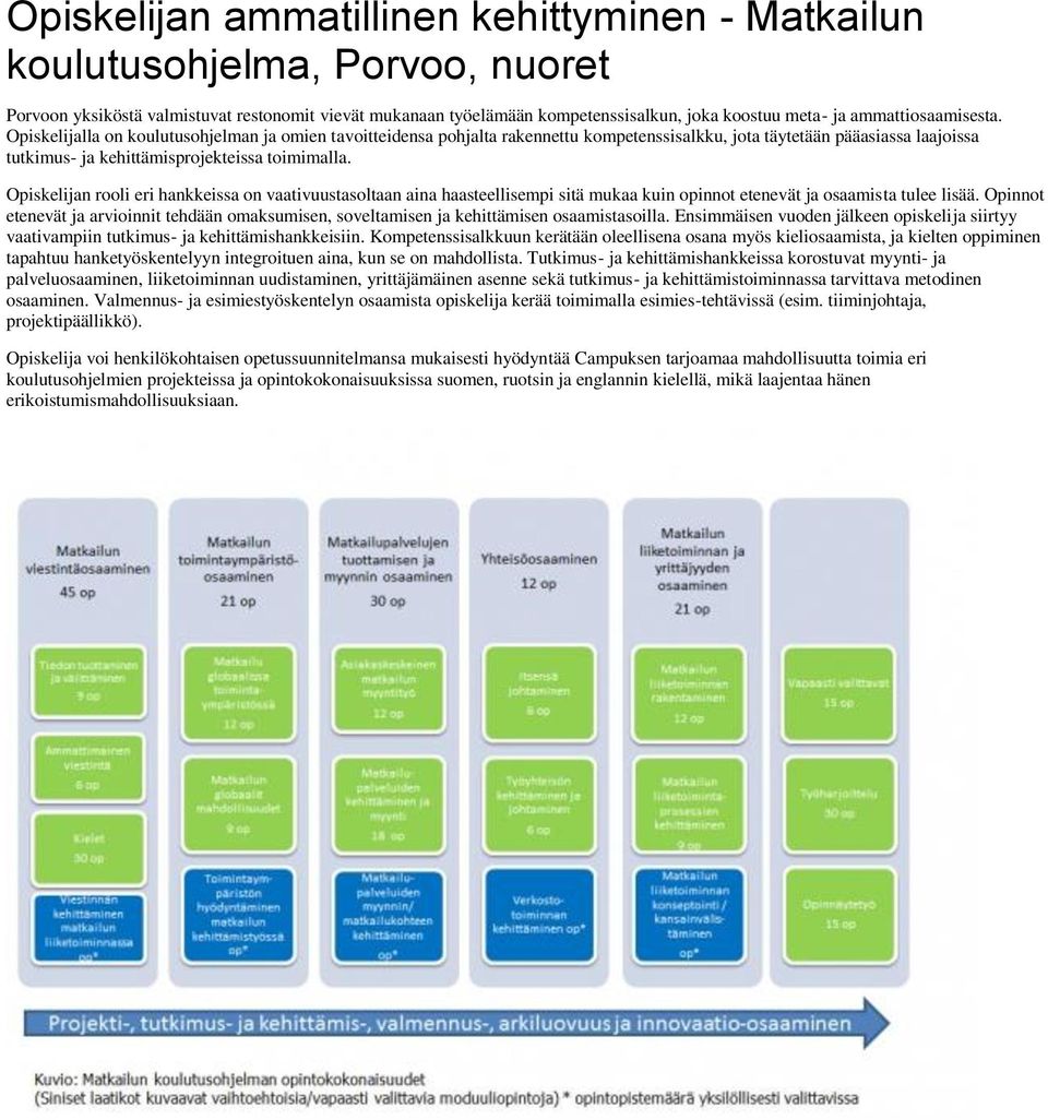 Opiskelijan rooli eri hankkeissa on vaativuustasoltaan aina haasteellisempi sitä mukaa kuin opinnot etenevät ja osaamista tulee lisää.