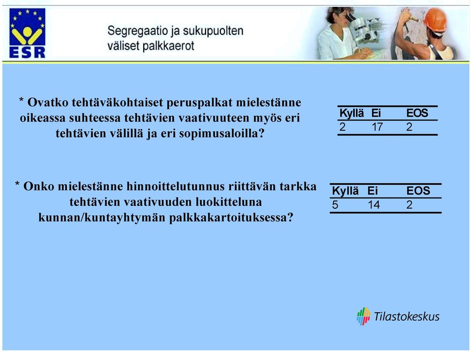 Kyllä Ei EOS 2 17 2 * Onko mielestänne hinnoittelutunnus riittävän tarkka