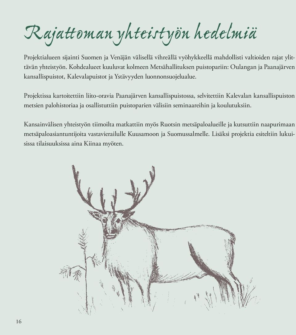 Projektissa kartoitettiin liito-oravia Paanajärven kansallispuistossa, selvitettiin Kalevalan kansallispuiston metsien palohistoriaa ja osallistuttiin puistoparien välisiin seminaareihin ja