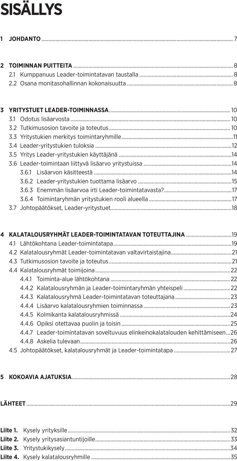 ..14 3.6 Leader-toimintaan liittyvä lisäarvo yritystuissa...14 3.6.1 Lisäarvon käsitteestä...14 3.6.2 Leader-yritystukien tuottama lisäarvo...15 3.6.3 Enemmän lisäarvoa irti Leader-toimintatavasta?