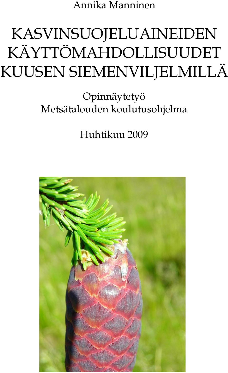 KÄYTTÖMAHDOLLISUUDET KUUSEN