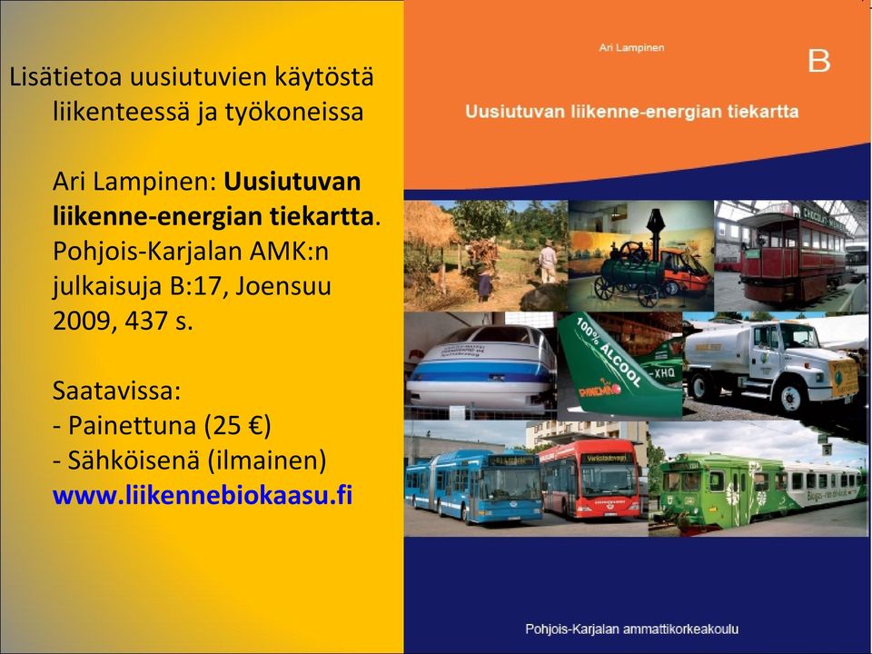 Pohjois-Karjalan AMK:n julkaisuja B:17, Joensuu 2009, 437 s.
