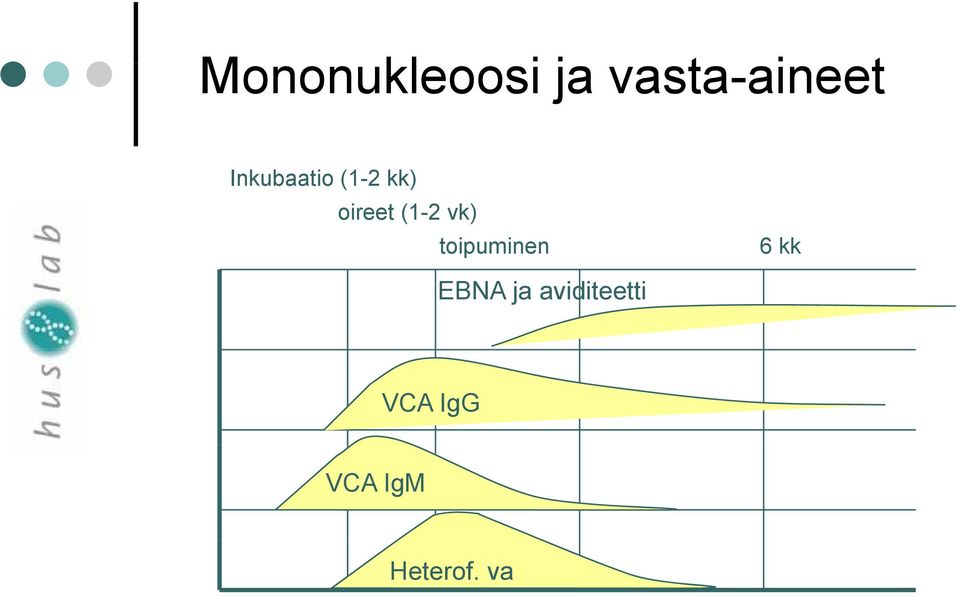 vk) toipuminen 6 kk EBNA ja