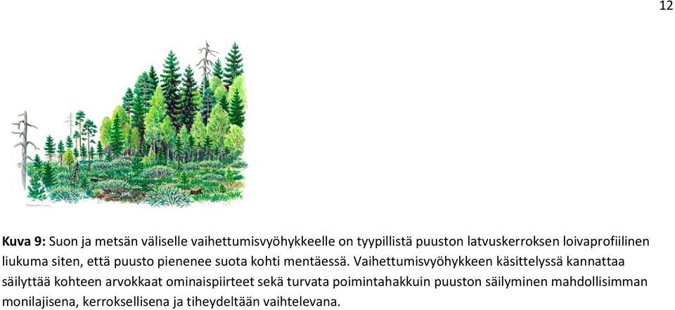 Vaihettumisvyöhykkeen käsittelyssä kannattaa säilyttää kohteen arvokkaat ominaispiirteet sekä