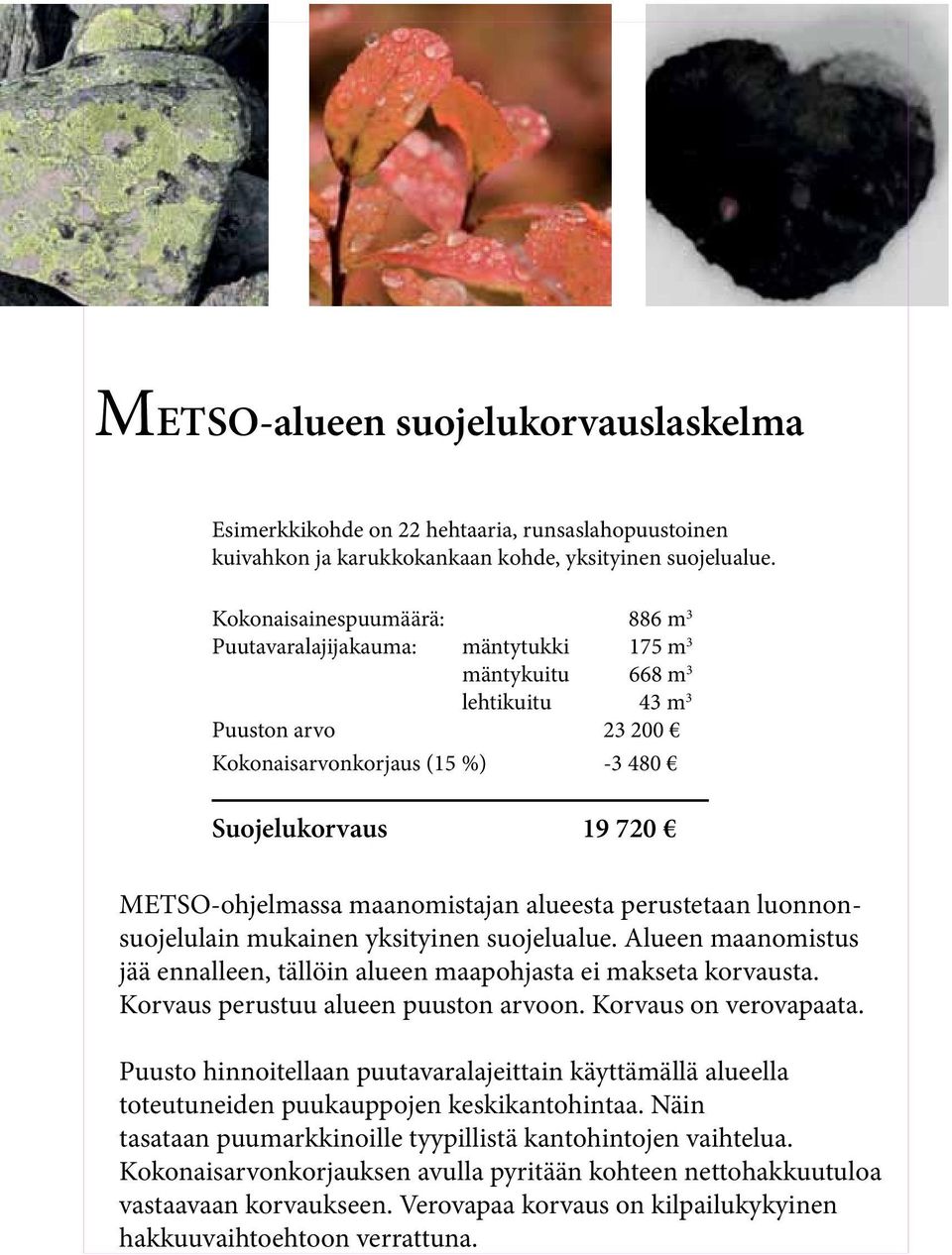 METSO-ohjelmassa maanomistajan alueesta perustetaan luonnonsuojelulain mukainen yksityinen suojelualue. Alueen maanomistus jää ennalleen, tällöin alueen maapohjasta ei makseta korvausta.