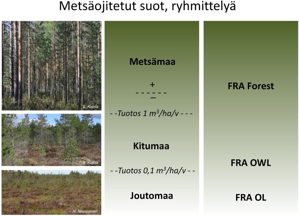 Nousiainen + - - -_- - - - -Tuotos 1 m 3 /ha/v - -