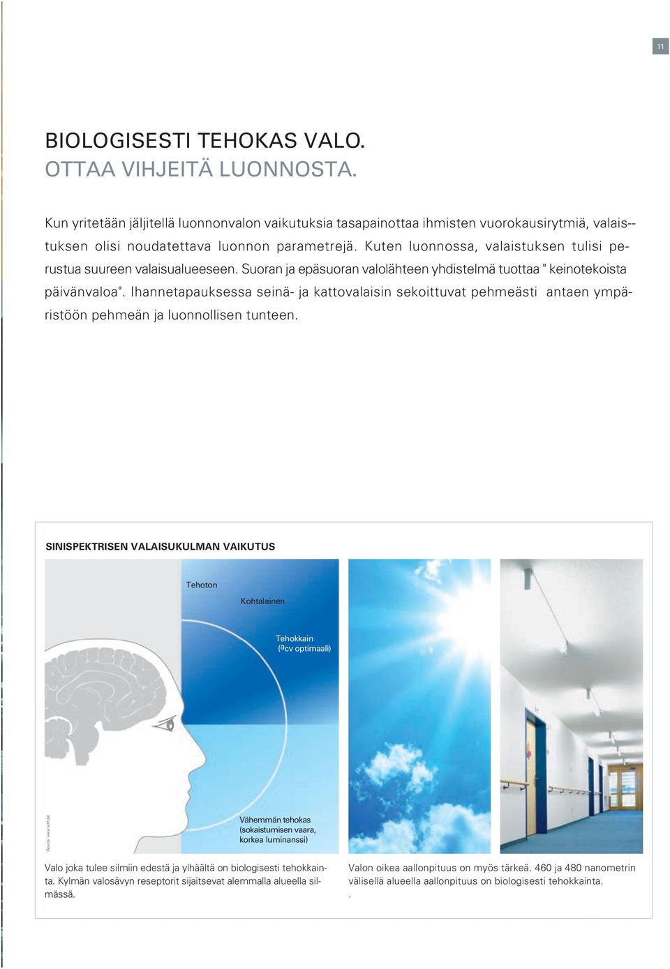 Kuten luonnossa, valaistuksen tulisi perustua suureen valaisualueeseen. Suoran ja epäsuoran valolähteen yhdistelmä tuottaa " keinotekoista päivänvaloa".