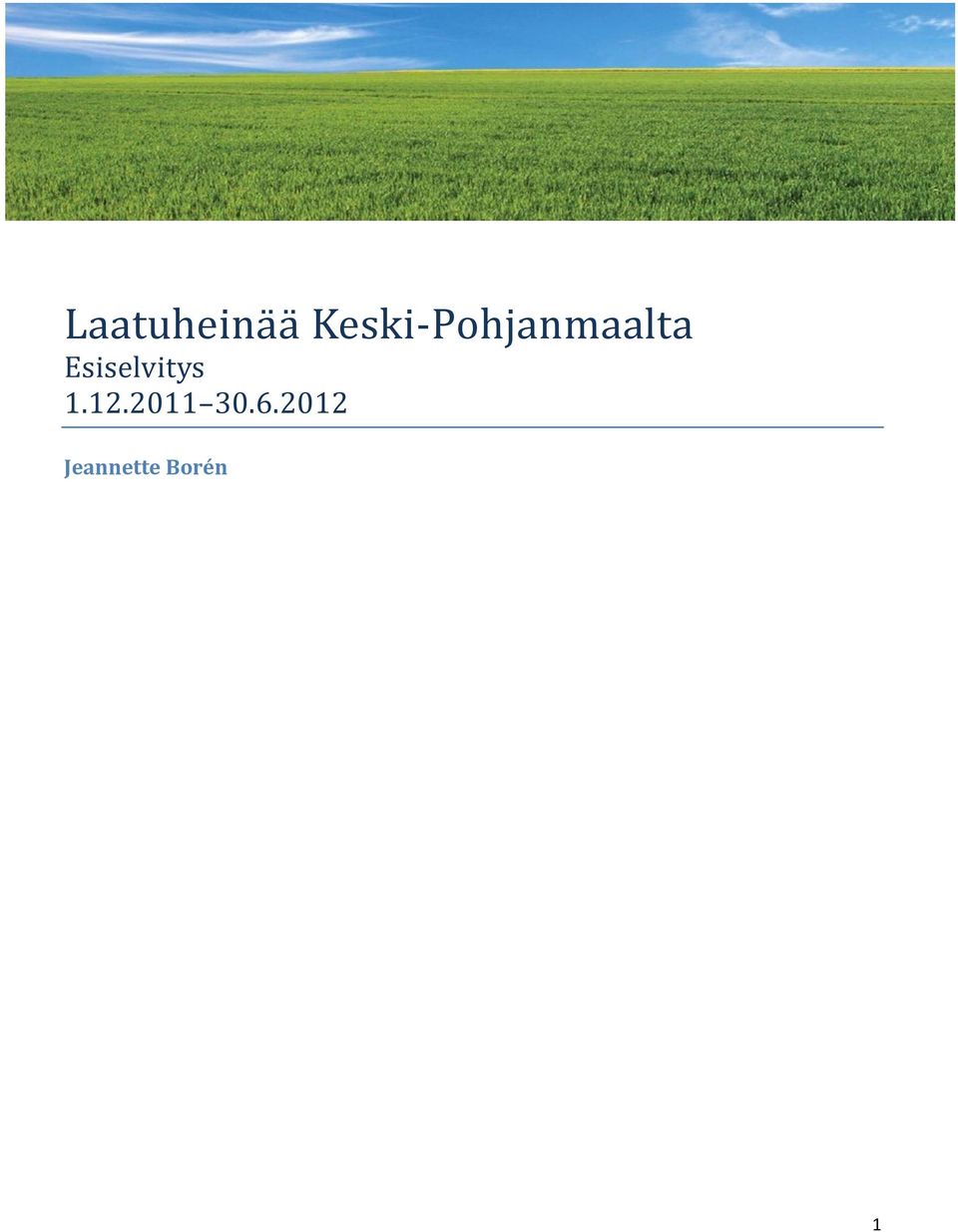 Esiselvitys 1.12.
