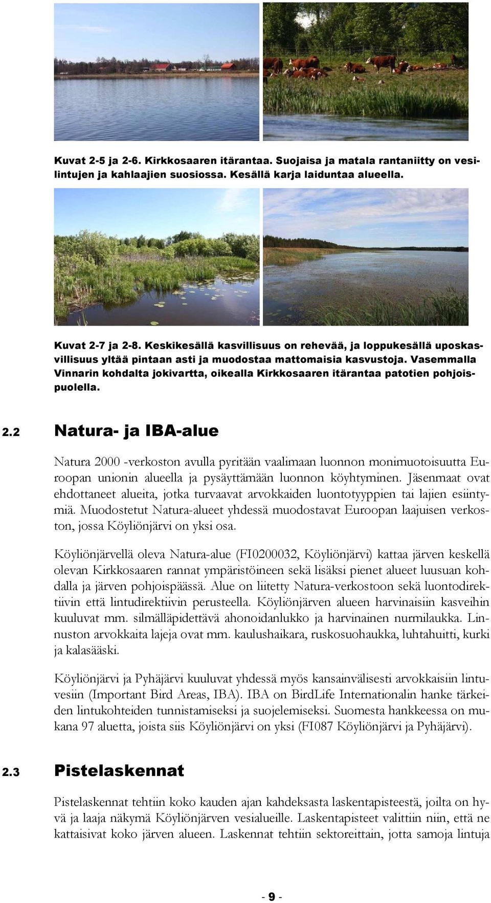 Vasemmalla Vinnarin kohdalta jokivartta, oikealla Kirkkosaaren itärantaa patotien pohjoispuolella. 2.
