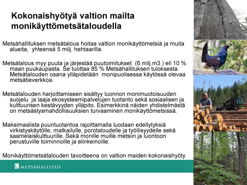 Metsätalouden osana ylläpidetään monipuolisessa käytössä olevaa metsätieverkkoa.