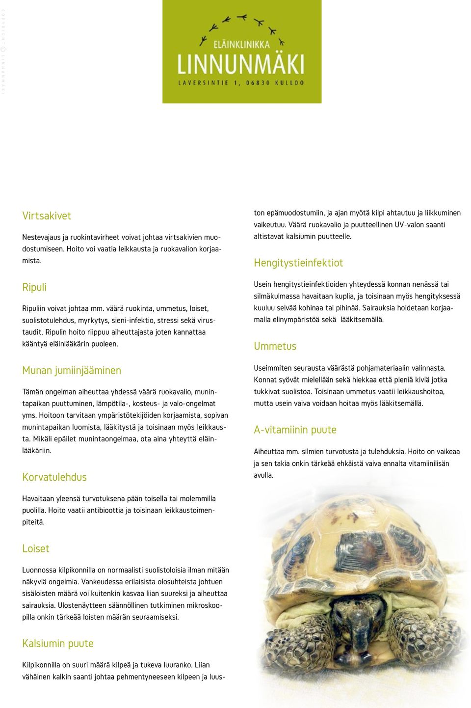 Munan jumiinjääminen Tämän ongelman aiheuttaa yhdessä väärä ruokavalio, munintapaikan puuttuminen, lämpötila-, kosteus- ja valo-ongelmat yms.