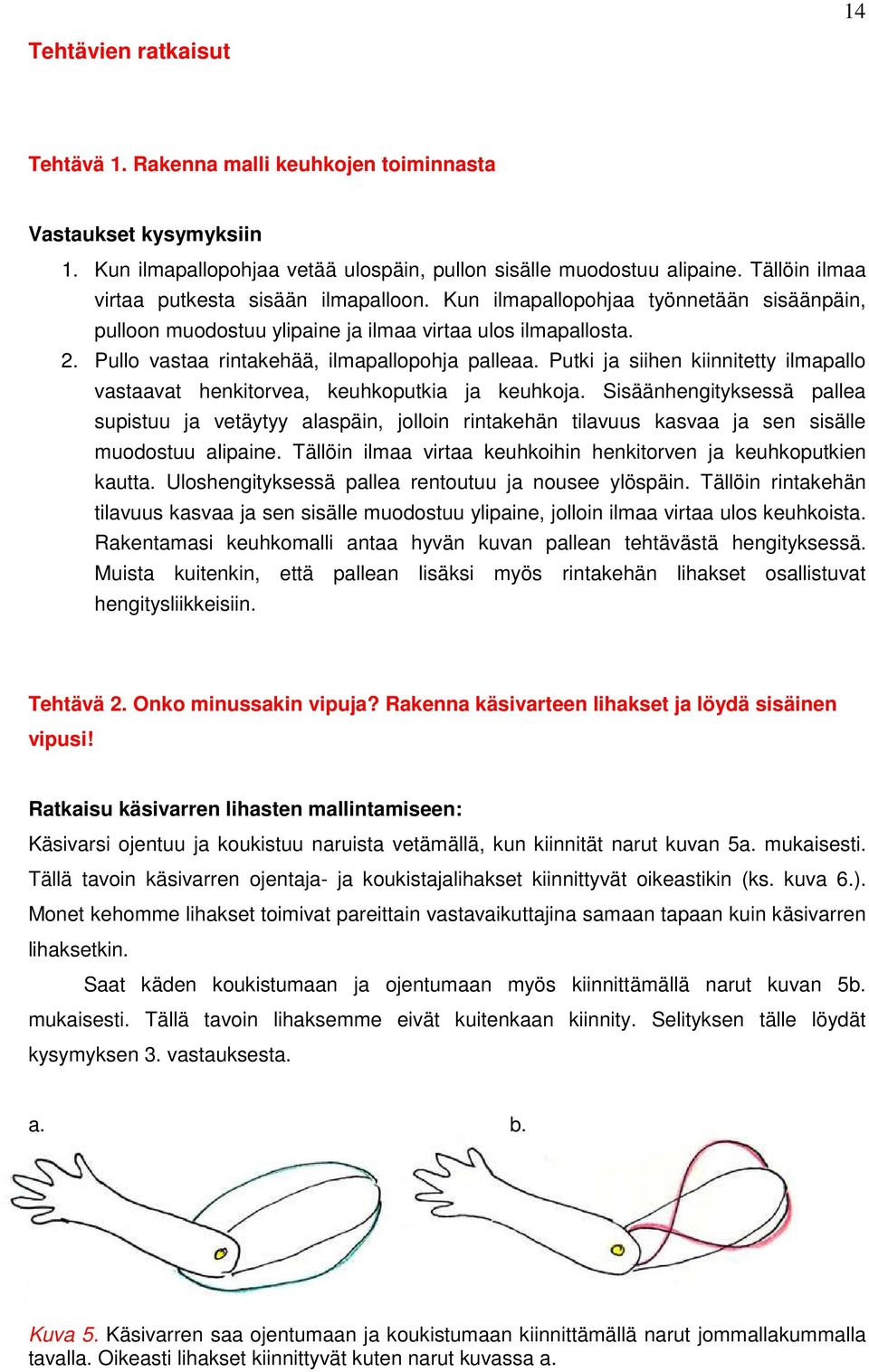 Pullo vastaa rintakehää, ilmapallopohja palleaa. Putki ja siihen kiinnitetty ilmapallo vastaavat henkitorvea, keuhkoputkia ja keuhkoja.