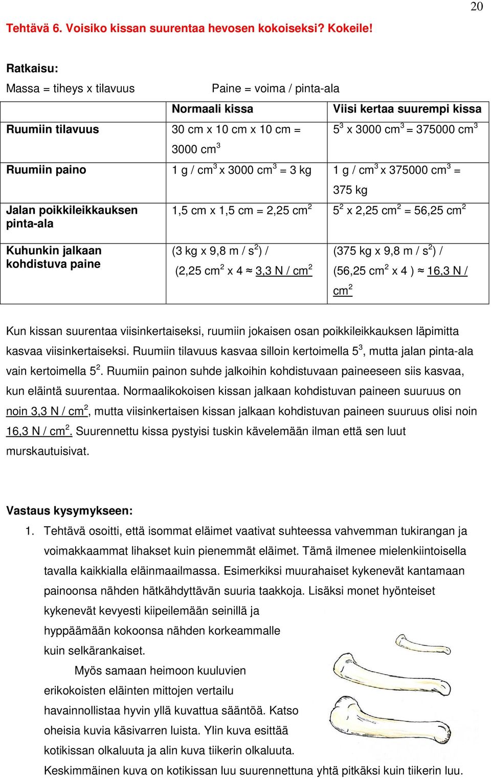 g / cm 3 x 3000 cm 3 = 3 kg 1 g / cm 3 x 375000 cm 3 = Jalan poikkileikkauksen pinta-ala 375 kg 1,5 cm x 1,5 cm = 2,25 cm 2 5 2 x 2,25 cm 2 = 56,25 cm 2 Kuhunkin jalkaan kohdistuva paine (3 kg x 9,8