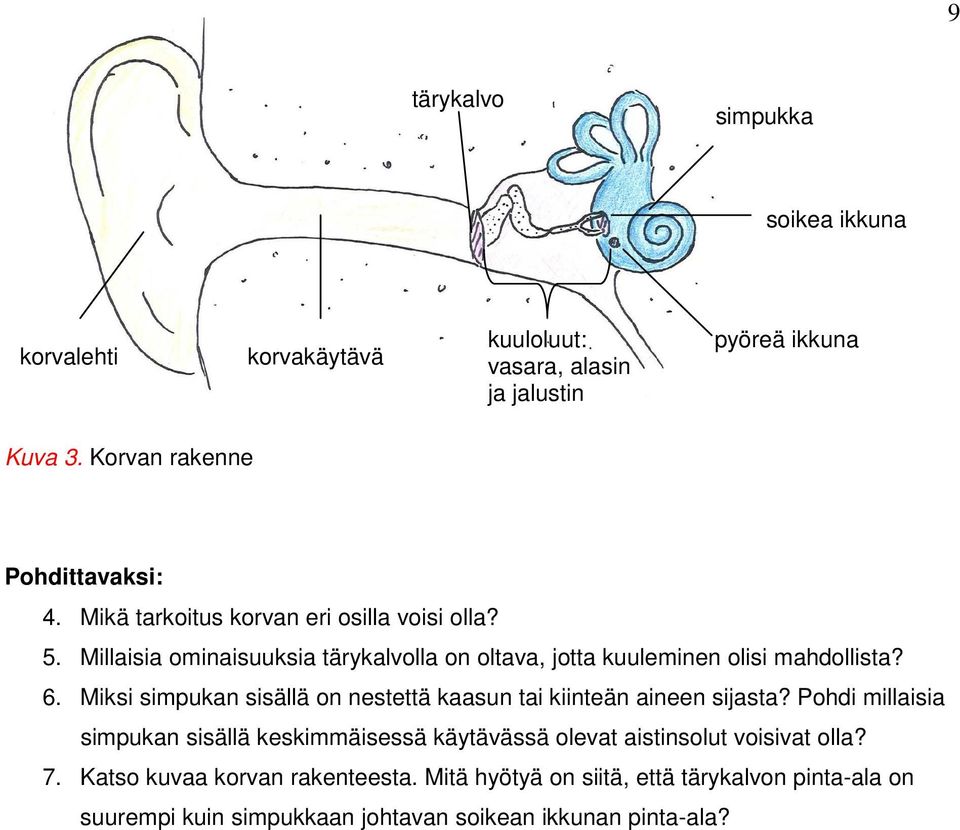 Millaisia ominaisuuksia tärykalvolla on oltava, jotta kuuleminen olisi mahdollista? 6.