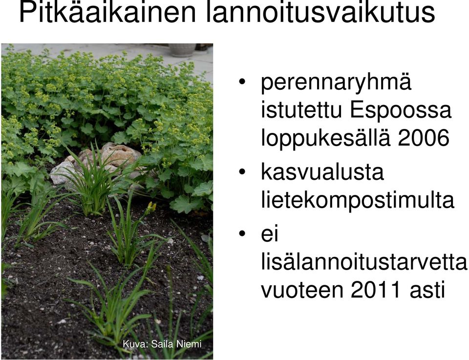 loppukesällä 2006 kasvualusta